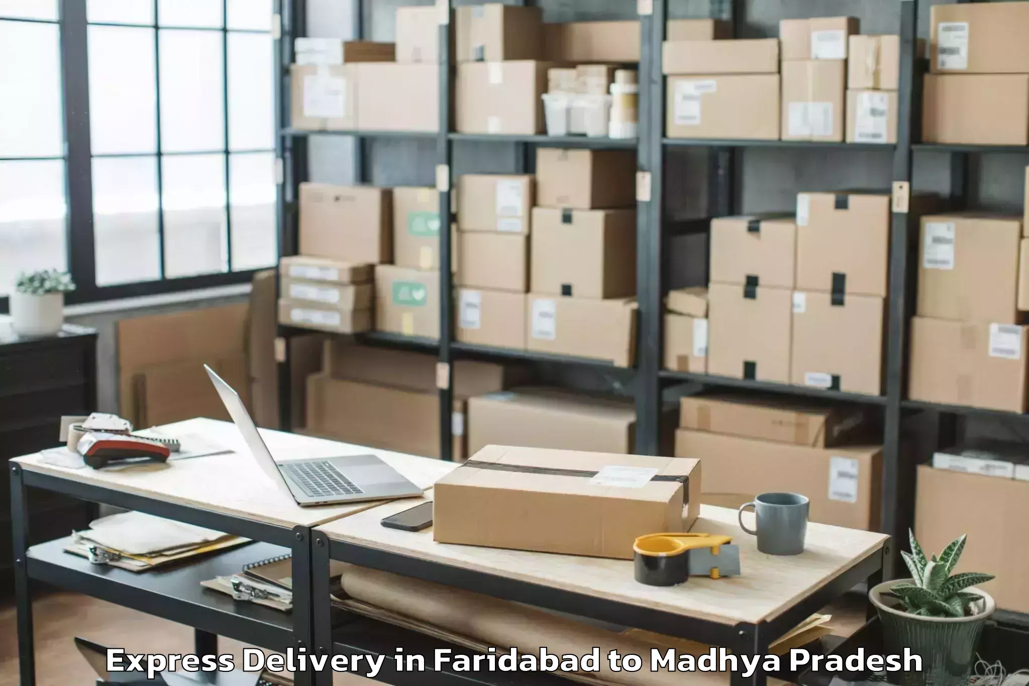 Get Faridabad to Guna Express Delivery